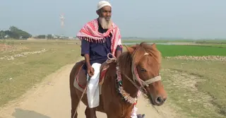 ৪৯ বছর ধরে কবর খোঁড়া মনু মিয়ার সঙ্গী ঘোড়াটি মারলো কে!